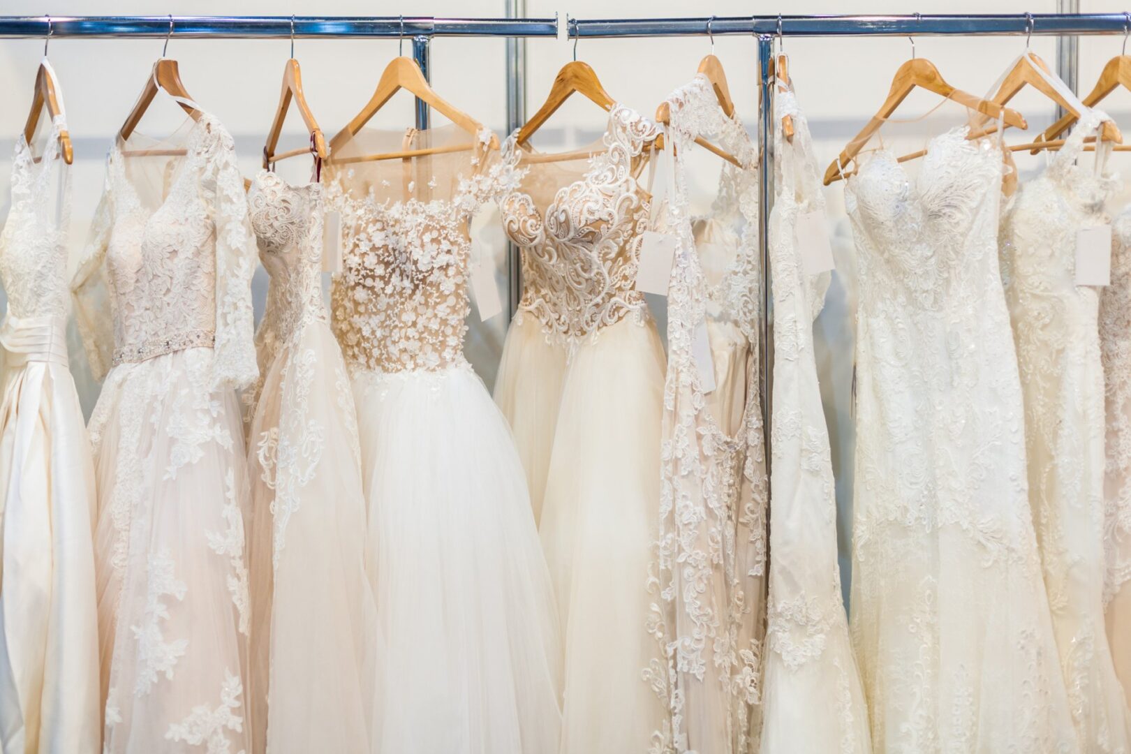 Buffalo Dry Cleaners & Launderers, Inc. photo 4
